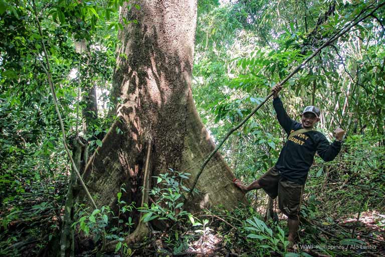 GForest at Ipo Watershed – Alo Lantin, WWF-Philippines